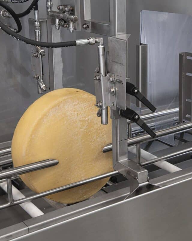 Cheese Washer Velox Barchitta