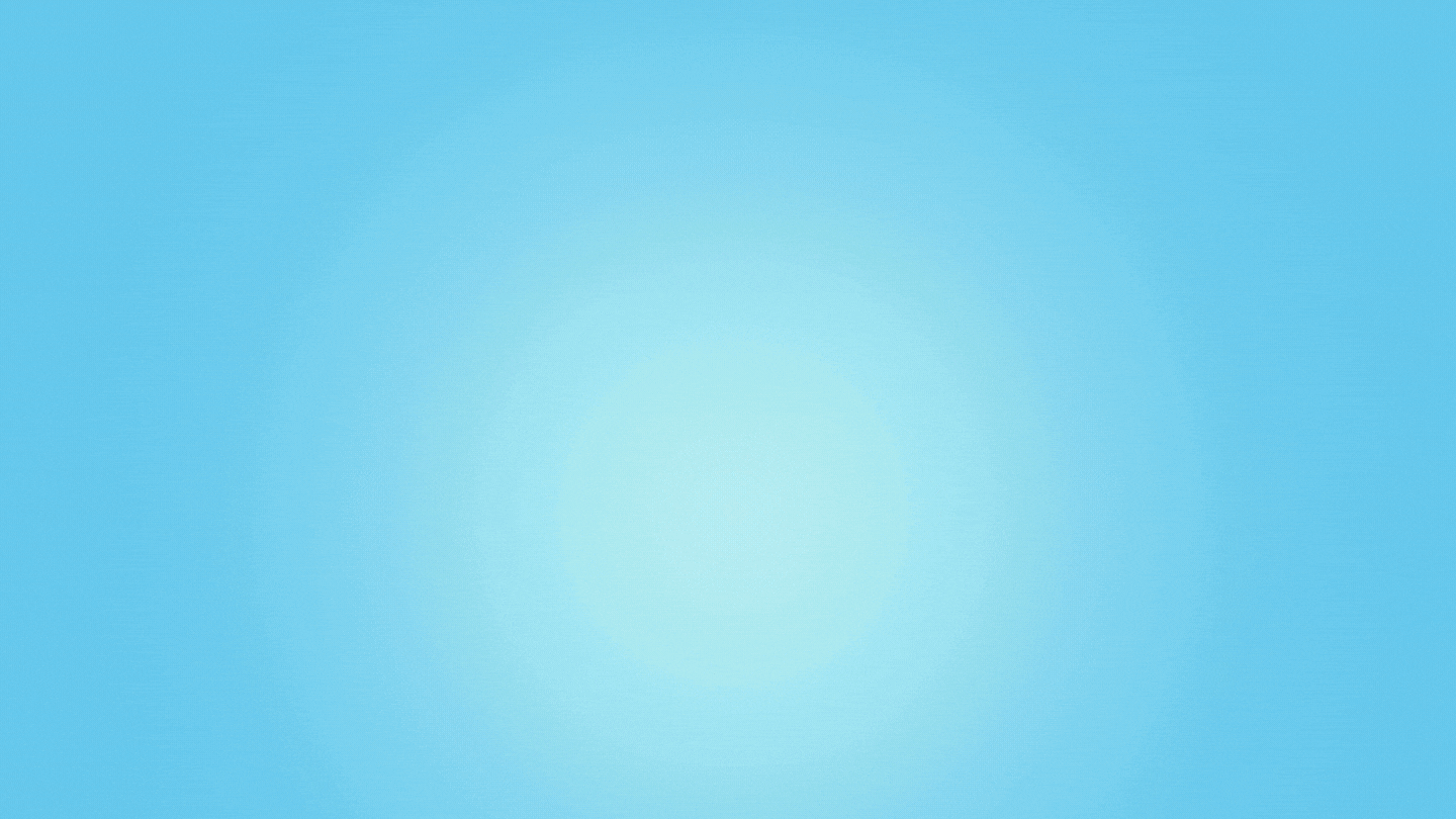 Display report gif EN