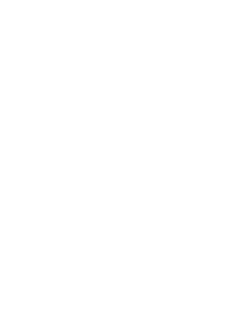 logo velox