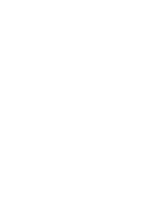 logo velox footer